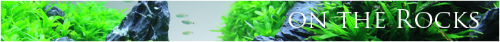 minibanner touch just aquascaping