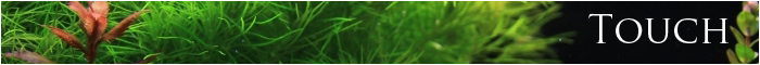 minibanner touch just aquascaping