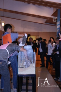Die Iwagumi-Challenge 2010 im Rahmen der IAPLC-Party in Niigata, Japan.