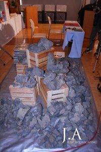 Die Steinauswahl bei der Iwagumi-Challenge 2010 im Rahmen der IAPLC-Party in Niigata, Japan.